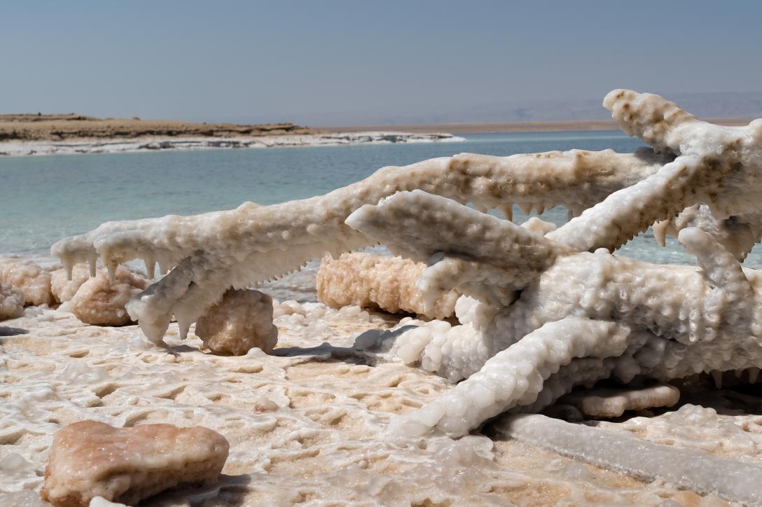 Float Or Sink Discover The Science Of The Dead Sea Truvie Float Or Sink Discover The Science Of The Dead Sea Truvie